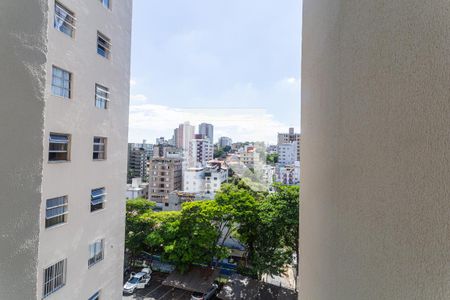 Vista da Sala de apartamento para alugar com 3 quartos, 110m² em Sagrada Família, Belo Horizonte