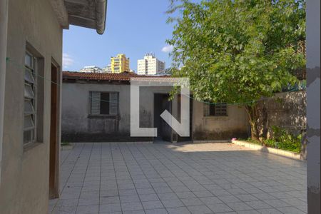 Quintal de casa à venda com 2 quartos, 300m² em Vila Madalena, São Paulo