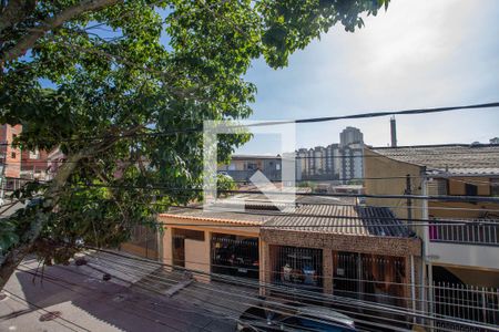 Casa para alugar com 110m², 2 quartos e 1 vaga Casa para alugar com 110m², 2 quartos e 1 vagaVista do quintal