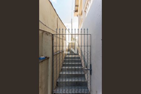 Casa à venda com 329m², 3 quartos e 3 vagasQuintal
