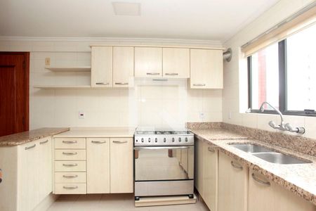 Apartamento à venda com 501m², 4 quartos e sem vagaCozinha