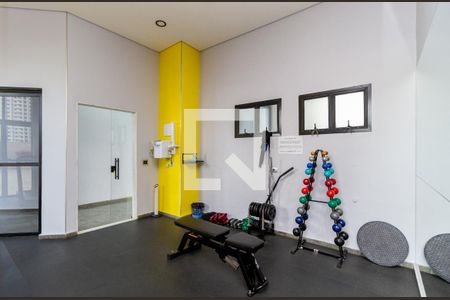 Apartamento à venda com 118m², 3 quartos e 3 vagas Apartamento à venda com 118m², 3 quartos e 3 vagasAcademia