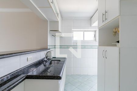 Cozinha de apartamento para alugar com 2 quartos, 60m² em Vila das Merces, São Paulo