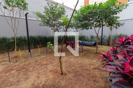 Apartamento para alugar com 32m², 1 quarto e sem vagaÁrea Comum - Pet Place