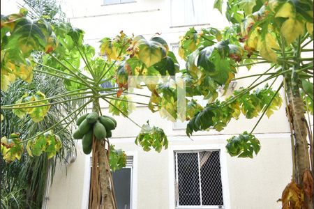 Vista da Sala de apartamento para alugar com 2 quartos, 40m² em Campo Grande, Rio de Janeiro