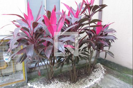 Apartamento para alugar com 40m², 2 quartos e 1 vagaJardim