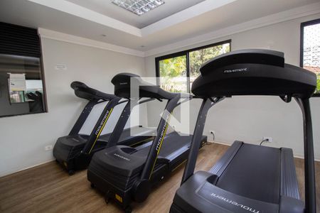 Apartamento para alugar com 72m², 2 quartos e 1 vaga Apartamento para alugar com 72m², 2 quartos e 1 vagaAcademia