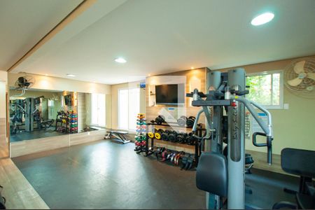 Apartamento para alugar com 75m², 3 quartos e 2 vagas Apartamento para alugar com 75m², 3 quartos e 2 vagasÁrea comum - Academia