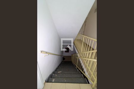 Apartamento para alugar com 52m², 3 quartos e 1 vagaÁrea Comum