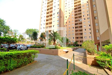 Apartamento para alugar com 65m², 3 quartos e 1 vagaÁrea comum