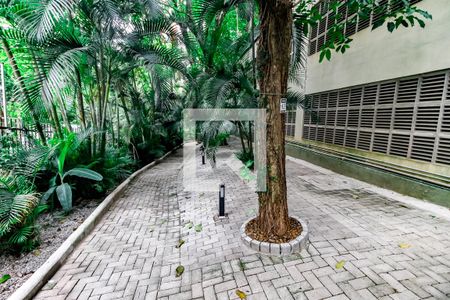 Apartamento para alugar com 200m², 3 quartos e 3 vagasEspaço - PET