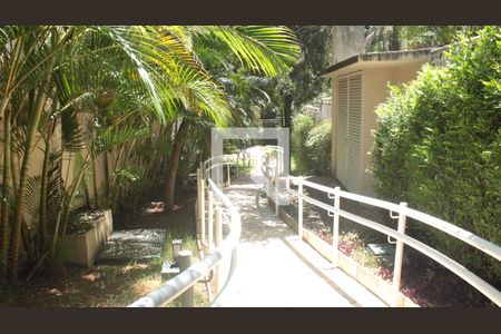 Apartamento para alugar com 67m², 3 quartos e 1 vagaJardim