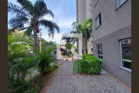 Apartamento para alugar com 62m², 2 quartos e 1 vaga Apartamento para alugar com 62m², 2 quartos e 1 vagaÁrea comum