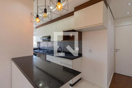 Apartamento para alugar com 50m², 2 quartos e 1 vaga Apartamento para alugar com 50m², 2 quartos e 1 vagaCozinha