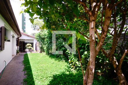 Casa à venda com 300m², 3 quartos e 3 vagasQuintal 