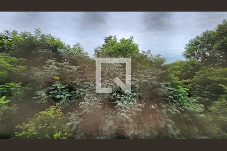 Vista da Sacada de apartamento para alugar com 3 quartos, 110m² em Jardim Ana Maria, Jundiaí
