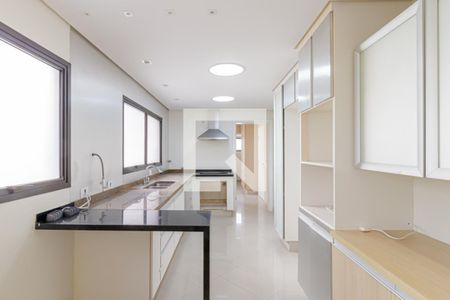 Apartamento para alugar com 217m², 4 quartos e 3 vagas Apartamento para alugar com 217m², 4 quartos e 3 vagasCozinha