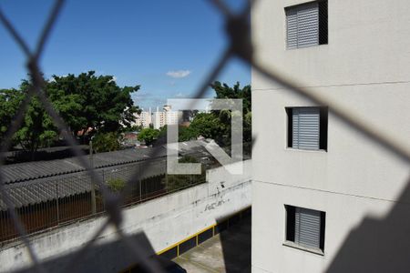 Apartamento para alugar com 63m², 3 quartos e 1 vagaVista do Quarto 3