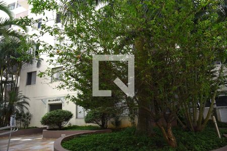 Apartamento para alugar com 63m², 3 quartos e 1 vagaÁrea comum