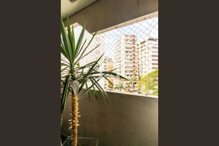 Sala de Jantar - Varanda de apartamento à venda com 4 quartos, 240m² em Higienópolis, São Paulo