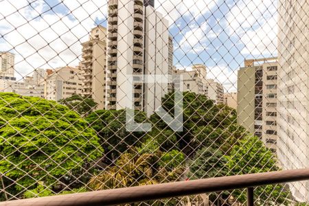 Apartamento à venda com 240m², 4 quartos e 3 vagasSala - Vista da Varanda