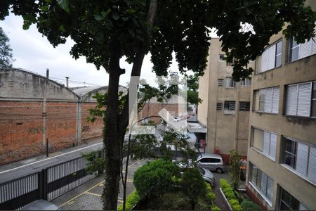 Vista Do Quarto 1 de apartamento à venda com 3 quartos, 83m² em Vila Constança, São Paulo