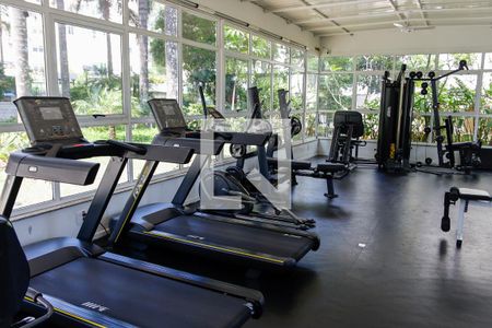 Apartamento para alugar com 181m², 3 quartos e 3 vagasÁrea comum - Academia