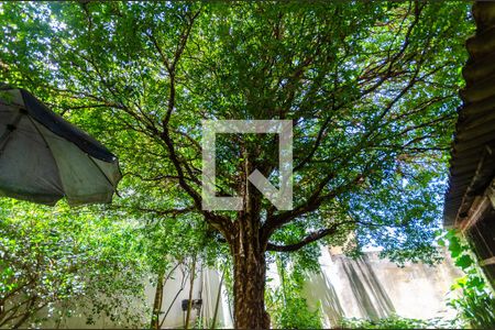 Casa à venda com 300m², 3 quartos e 2 vagas Casa à venda com 300m², 3 quartos e 2 vagasÁrea externa