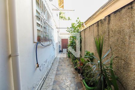 Casa à venda com 160m², 4 quartos e 1 vagaQuintal