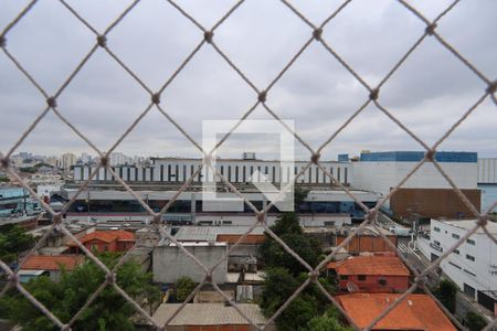 Apartamento à venda com 65m², 2 quartos e 1 vaga Apartamento à venda com 65m², 2 quartos e 1 vagaVista da Suíte