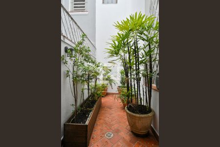 Jardim de casa à venda com 3 quartos, 300m² em Aclimação, São Paulo