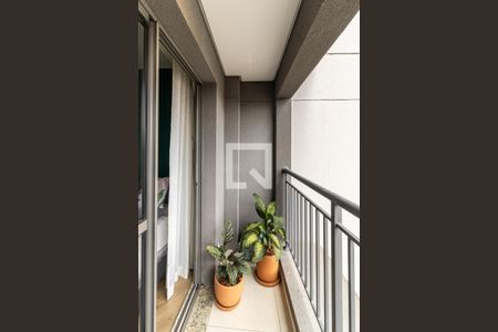 Studio para alugar com 43m², 1 quarto e sem vagaVaranda da Suíte