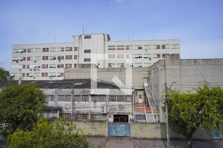 Vista de apartamento para alugar com 1 quarto, 47m² em Vila Ipiranga, Porto Alegre