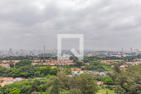 Vista da sala de apartamento para alugar com 2 quartos, 62m² em Industrial Autonomistas, Osasco