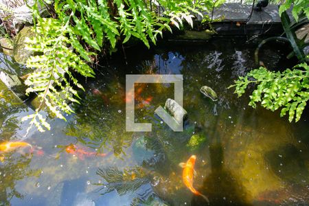 Casa à venda com 218m², 3 quartos e 6 vagasLago de Carpas - Espelho D`água