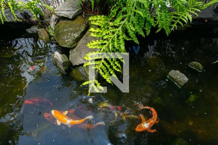 Casa à venda com 218m², 3 quartos e 6 vagasLago de Carpas - Espelho D`água