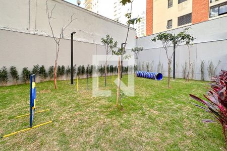 Apartamento para alugar com 32m², 1 quarto e sem vagaPet Place