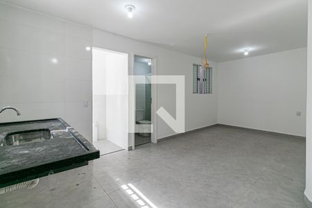 Sala / Cozinha de kitnet/studio para alugar com 1 quarto, 25m² em Vila Lais, São Paulo