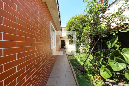Casa à venda com 430m², 2 quartos e 6 vagasQuintal
