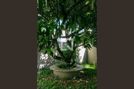 Casa à venda com 400m², 4 quartos e 5 vagas Casa à venda com 400m², 4 quartos e 5 vagasQuintal e Jardim