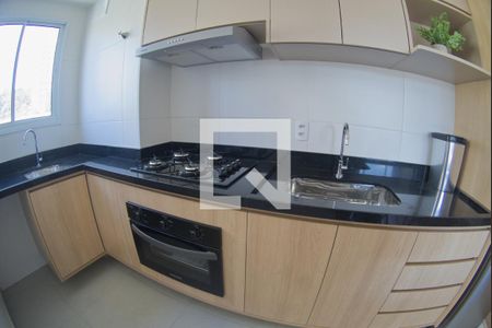 Cozinha de apartamento para alugar com 2 quartos, 36m² em Vila Butantã, São Paulo