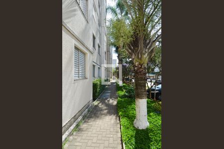 Apartamento para alugar com 44m², 2 quartos e 1 vaga Apartamento para alugar com 44m², 2 quartos e 1 vagaÁrea Externa
