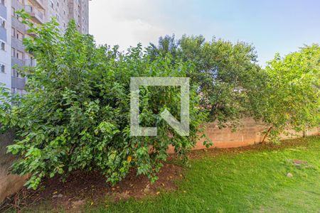 Apartamento para alugar com 55m², 2 quartos e 1 vagaVista dos quartos