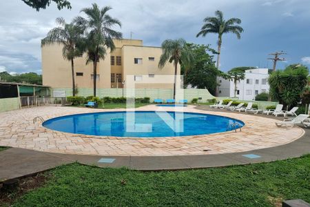 Apartamento para alugar com 60m², 2 quartos e 1 vaga Apartamento para alugar com 60m², 2 quartos e 1 vagaPiscina