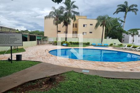 Apartamento para alugar com 60m², 2 quartos e 1 vaga Apartamento para alugar com 60m², 2 quartos e 1 vagaPiscina