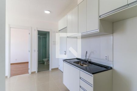 Apartamento para alugar com 34m², 2 quartos e sem vaga Apartamento para alugar com 34m², 2 quartos e sem vagaCozinha