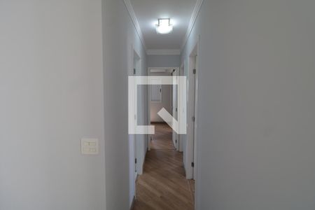 Quarto - Corredor de apartamento à venda com 3 quartos, 63m² em Vila Guilherme, São Paulo