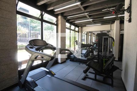 Apartamento para alugar com 120m², 3 quartos e 1 vaga Apartamento para alugar com 120m², 3 quartos e 1 vagaÁrea comum - Academia