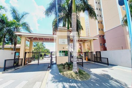 Apartamento para alugar com 60m², 3 quartos e 2 vagasFachada e Portaria