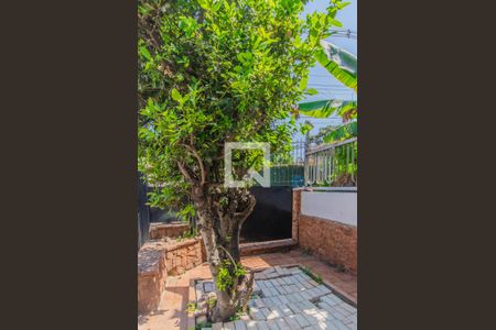 Casa à venda com 200m², 4 quartos e 8 vagas Casa à venda com 200m², 4 quartos e 8 vagasJardim